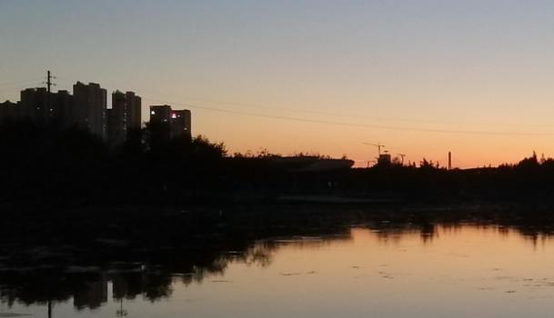 介绍一下生猪期货的交割流程