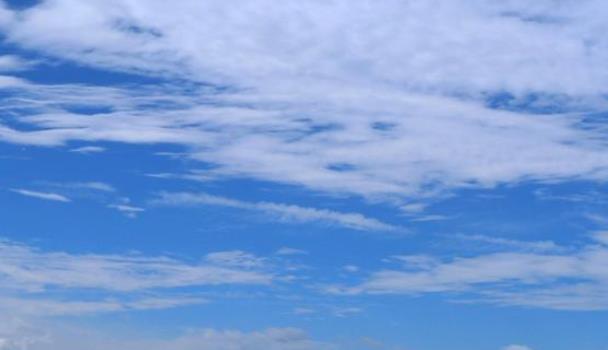 影响生猪期货价格变动的因素有哪些？